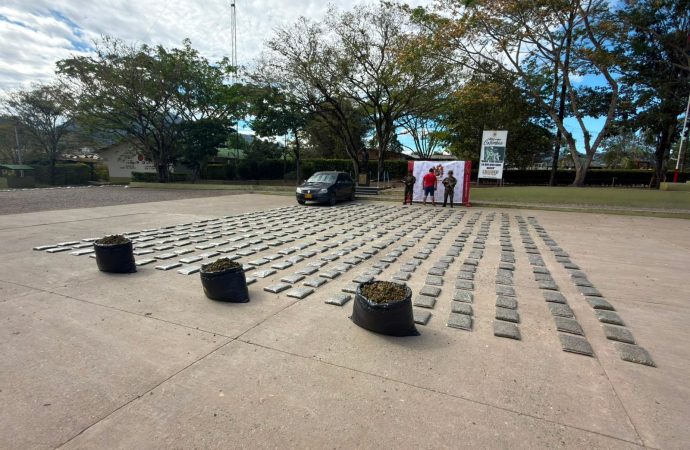 Incautan  480 libras de marihuana en Tesalia