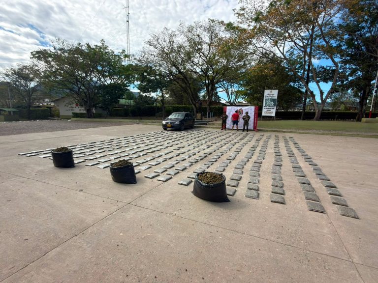Incautan  480 libras de marihuana en Tesalia