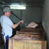 Instalan biodigestores para reducir contaminación de la cuenca del río Las Ceibas