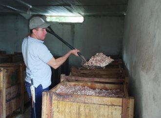 Instalan biodigestores para reducir contaminación de la cuenca del río Las Ceibas