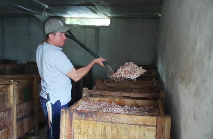 Instalan biodigestores para reducir contaminación de la cuenca del río Las Ceibas