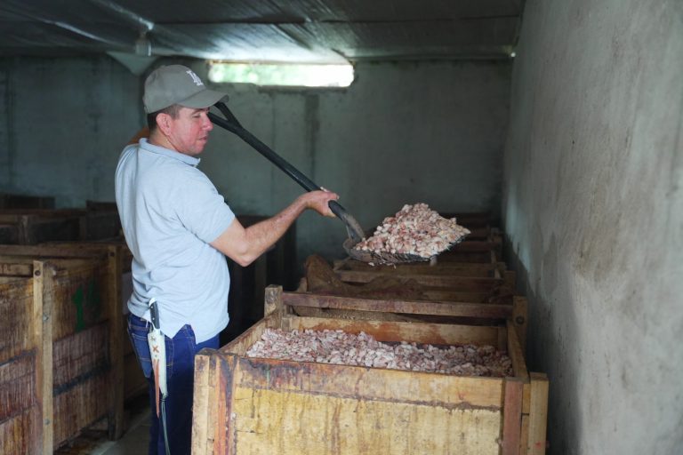 Instalan biodigestores para reducir contaminación de la cuenca del río Las Ceibas