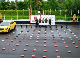 Golpe a finanzas del narcotráfico: incautan 131 kilos de marihuana