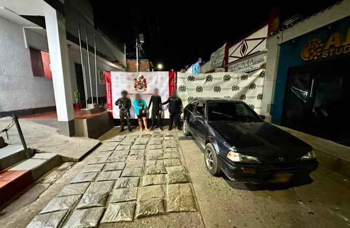 Decomisan 28.500 dosis de marihuana en La Plata