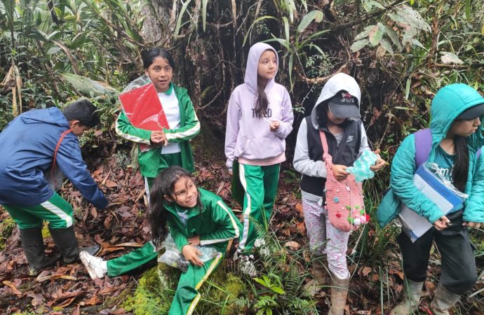 Talento huilense brilla en las Olimpiadas STEM+ Colombia 2026