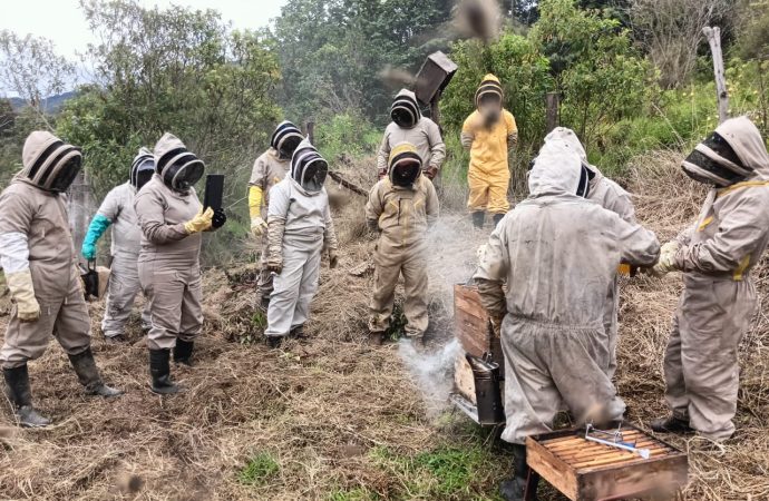 Apicultores del Huila fortalecen sus conocimientos