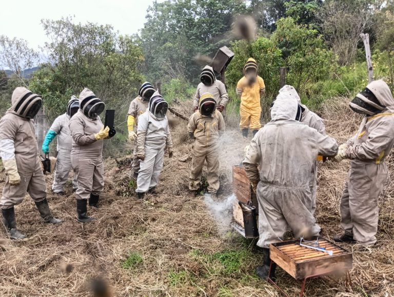 Apicultores del Huila fortalecen sus conocimientos