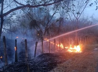 Incendios forestales no dan tregua en Huila