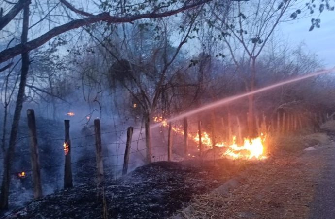 Incendios forestales no dan tregua en Huila