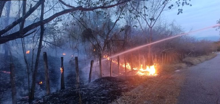 Incendios forestales no dan tregua en Huila