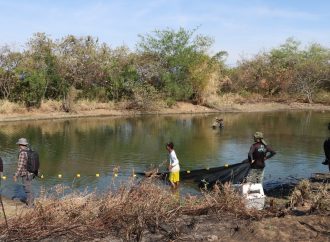 Crisis en el humedal El Curíbano de Neiva