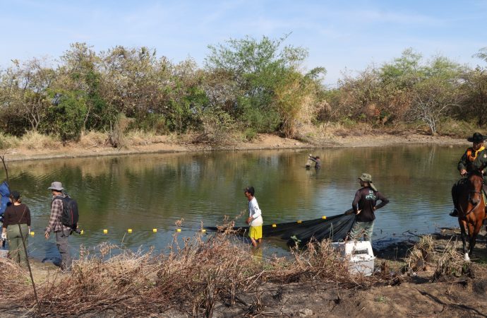 Crisis en el humedal El Curíbano de Neiva