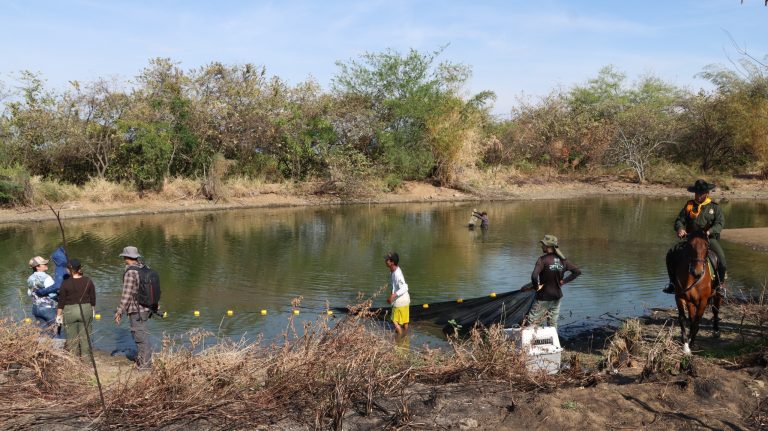 Crisis en el humedal El Curíbano de Neiva