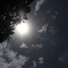 Neiva busca enfrentar altas temperaturas urbanas