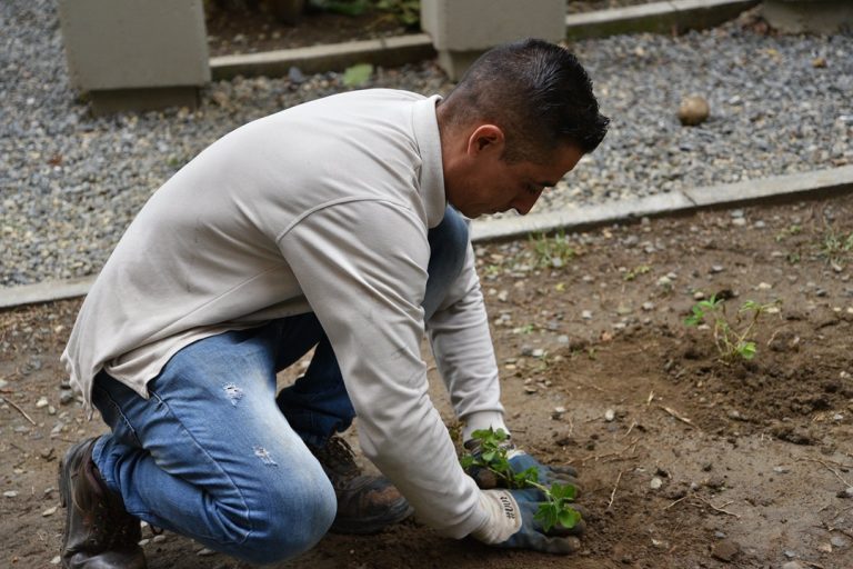 Cambio climático ya reduce la productividad laboral