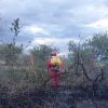 Huila: 263 incendios forestales en 29 municipios