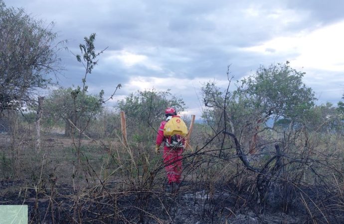 Huila: 263 incendios forestales en 29 municipios