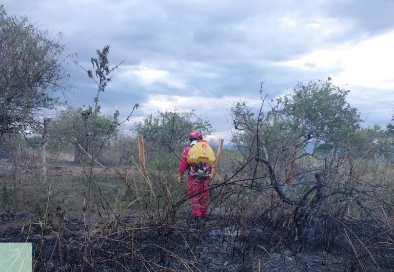 Huila: 263 incendios forestales en 29 municipios