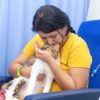 Día Mundial de los Animales: de objetos de protección a seres sintientes