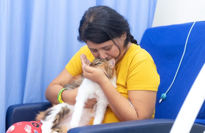 Día Mundial de los Animales: de objetos de protección a seres sintientes