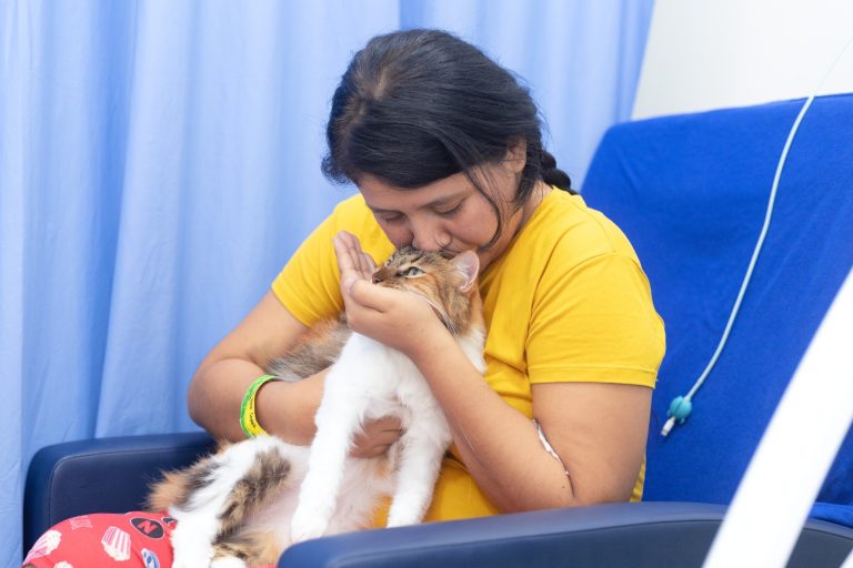 Día Mundial de los Animales: de objetos de protección a seres sintientes