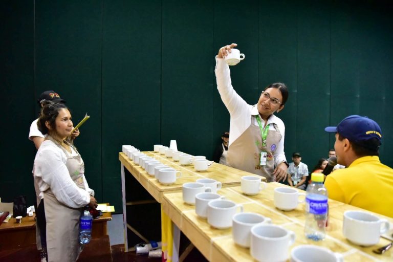 Conectan formación, innovación y nuevas generaciones con el café y el cacao