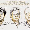 Nobel de Medicina 2026 premia a los pioneros de la optogenética